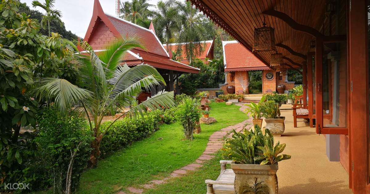 Samui Jungle Safari Without Elephant Trekking